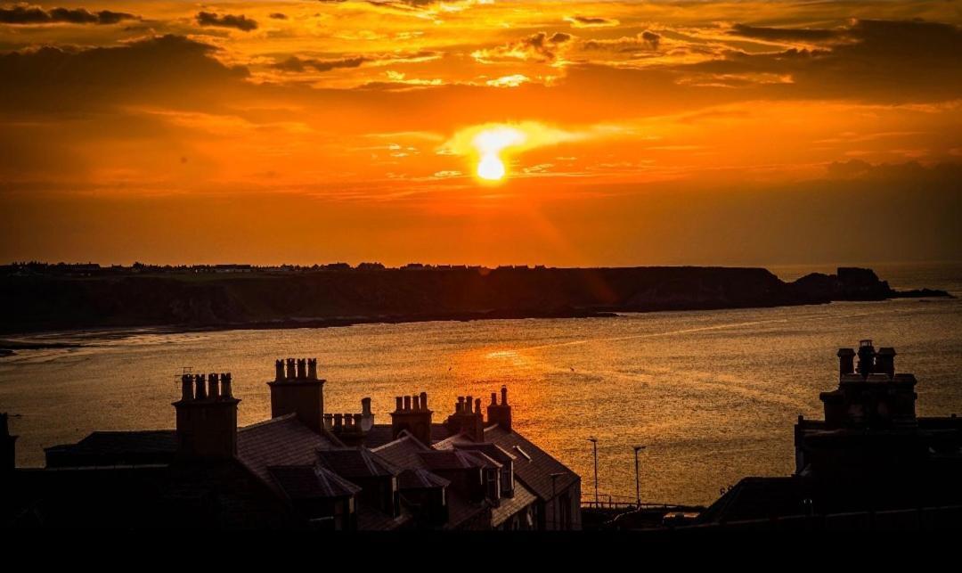 Salt View Cullen